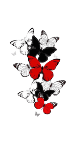 Papillon