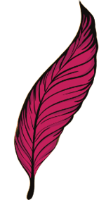 Plume
