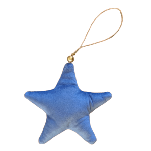 Étoile en velours bleu