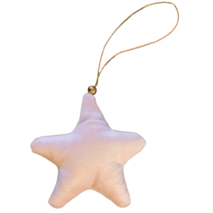 Étoile en velours rose